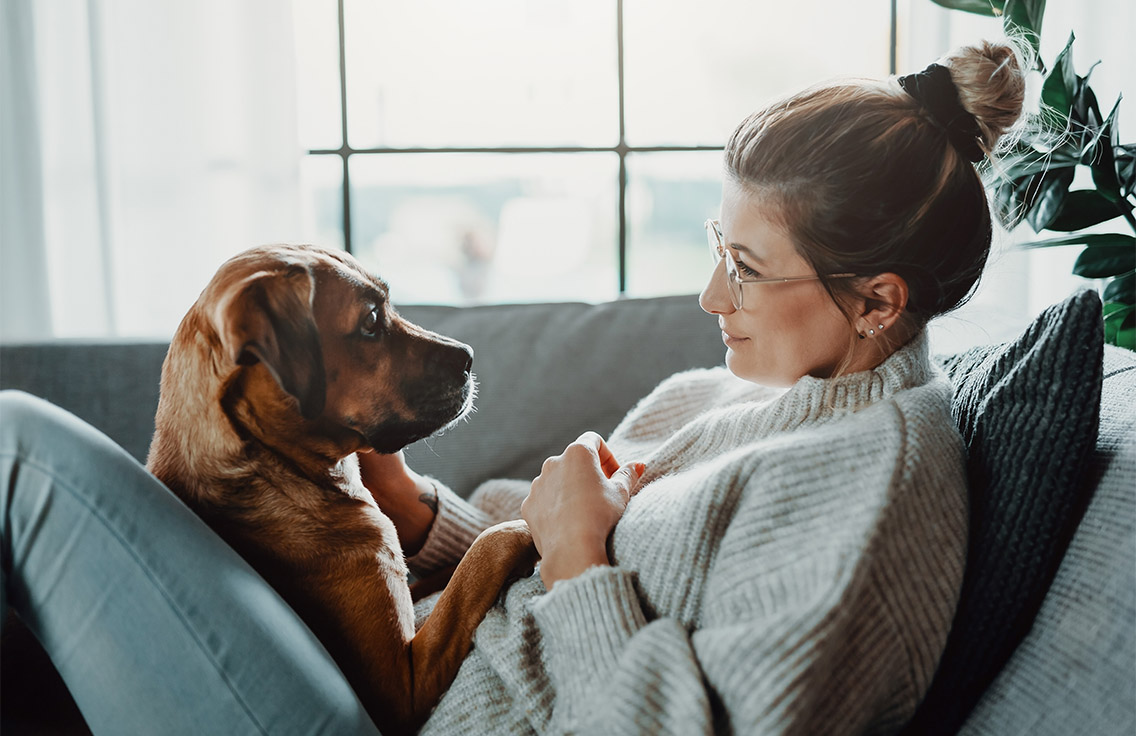 Person sitting on couch with dog.